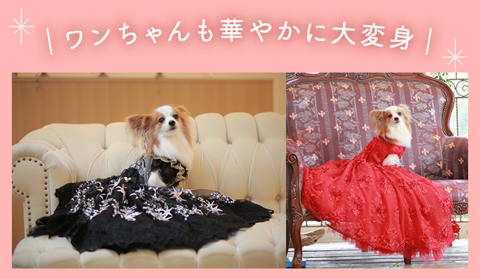 おふたりと一緒に、ペットの衣裳も華やかに